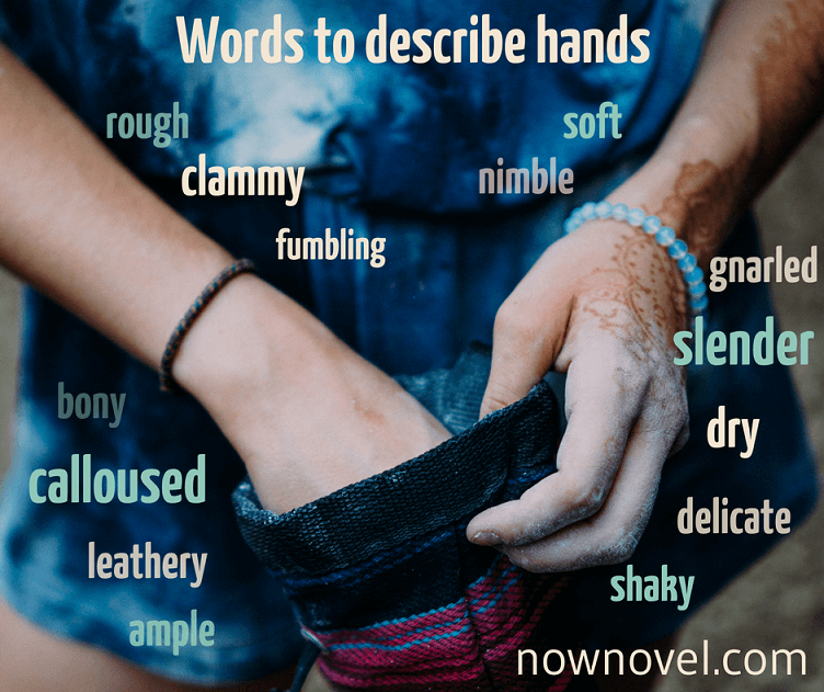 Words to Describe Hands | Now Novel
