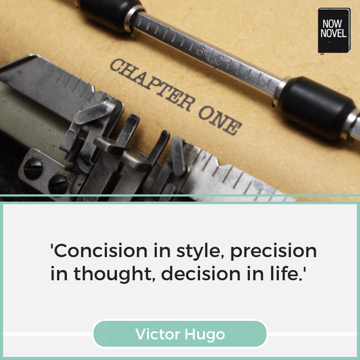 Victor Hugo quote - writing style | Now Novel