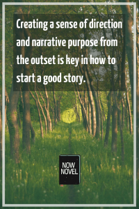 How to make a good story excellent - narrative purpose