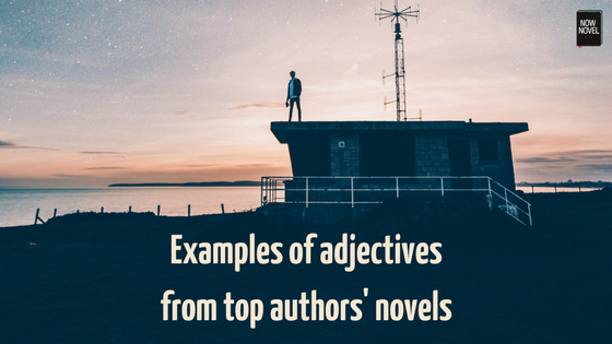 Read examples of adjectives from top authors' novels | Now Novel