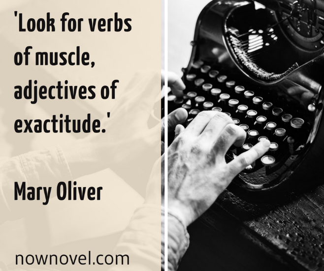 Mary Oliver quote on adjectives | Now Novel
