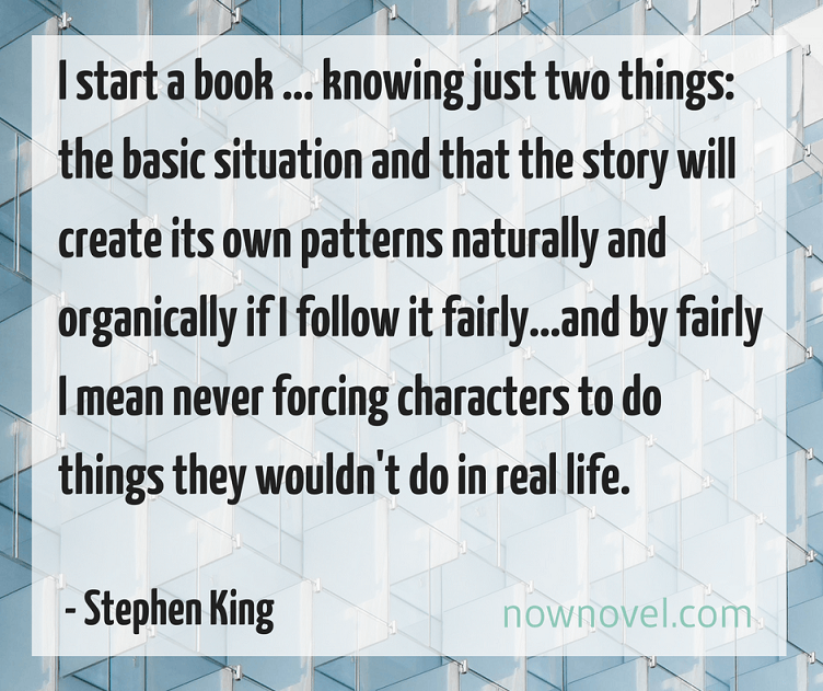 Stephen King quote on plot development | Now Novel