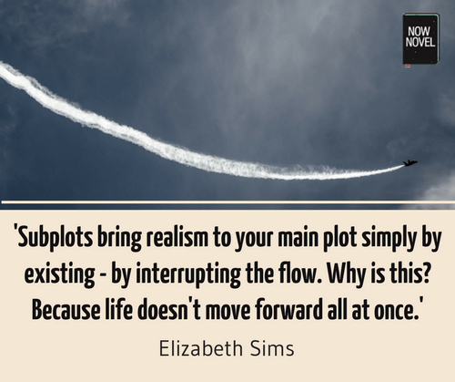Subplot quote-Elizabeth Sims-části příběhu / nyní román