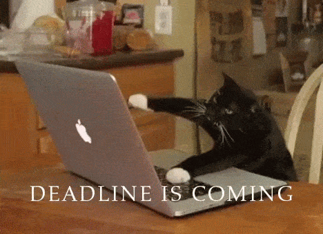 Writing deadline GIF | Now Novel