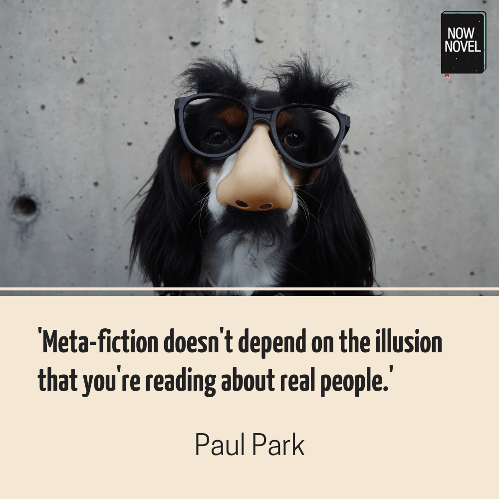 Meta-fiction quote - Paul Park | Now Novel