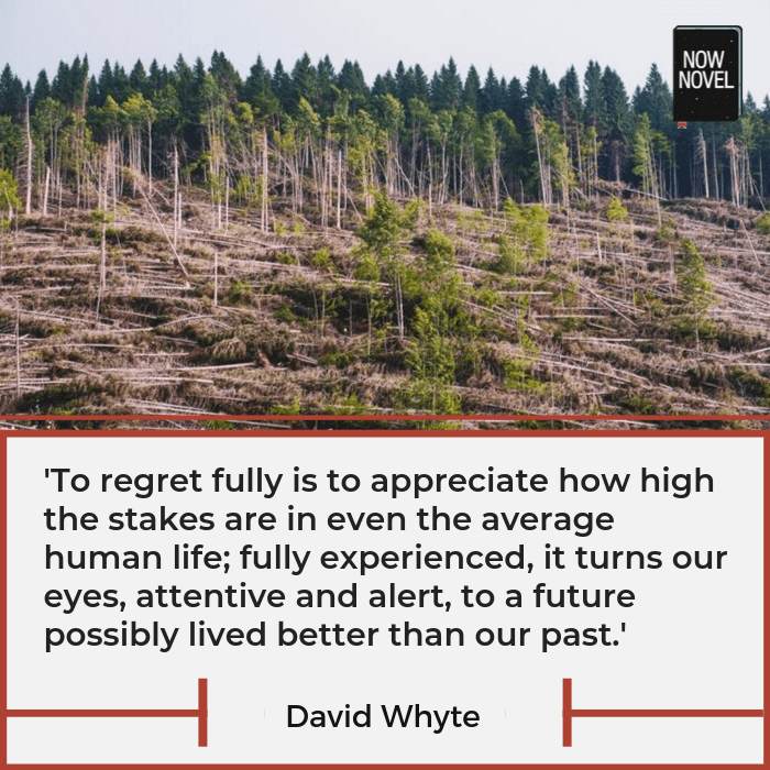 Quote on stakes in stories - David Whyte | Now Novel