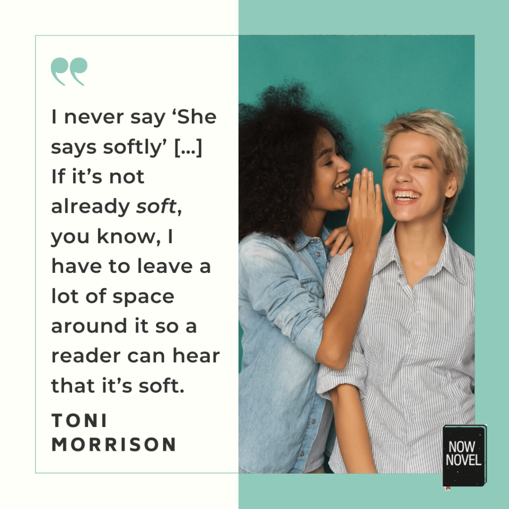 Dialogue in writing - Toni Morrison quote | Now Novel