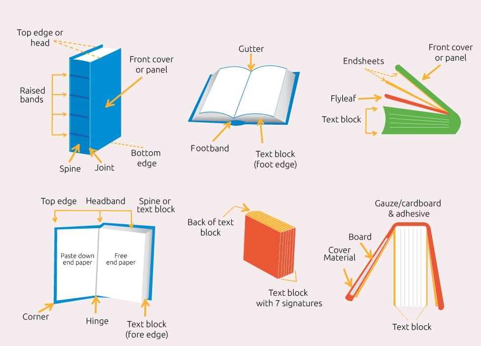 Diagram of parts of a physical book cover