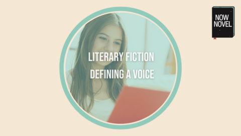 Defining literary fiction