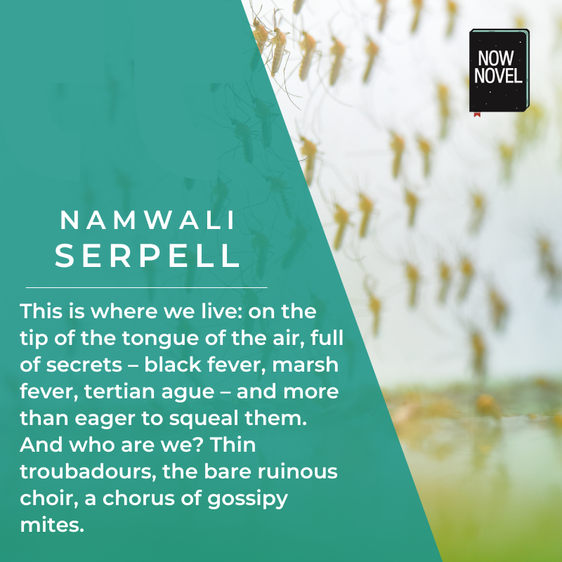 Namwali Serpell  quote from The Old Drift using fourth person point of view 